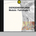 TN_Pathologie.gif