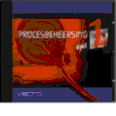 TN_VAPROproces1.gif