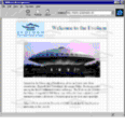 TN_evoluon.gif