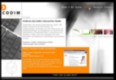codim_web4
